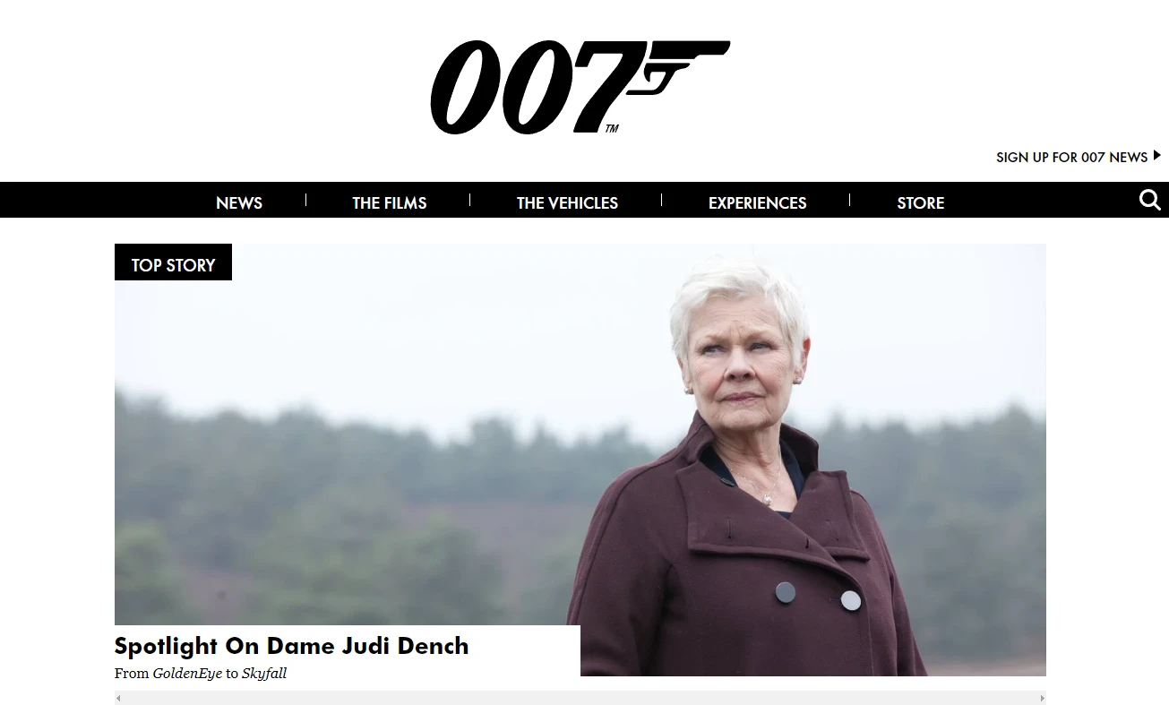 007-website-firstpage