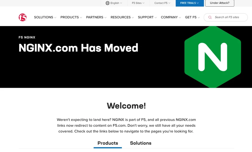 nginx-wp-website-first-page