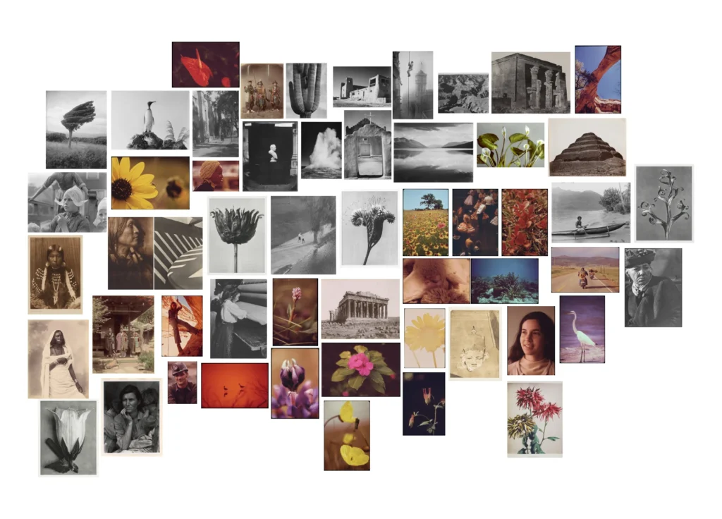 A collage kind of composition showing many of the photographs used in the 2025 default theme.