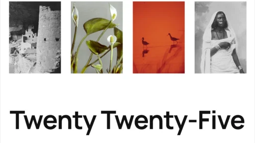 Four public domain film photographs: one showing a historical building, the other a close up of flowers, the other shows birds and the other an African woman. Below it is written Twenty Twenty-Five.